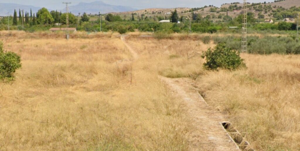 Ref. 1278 Javali Nuevo