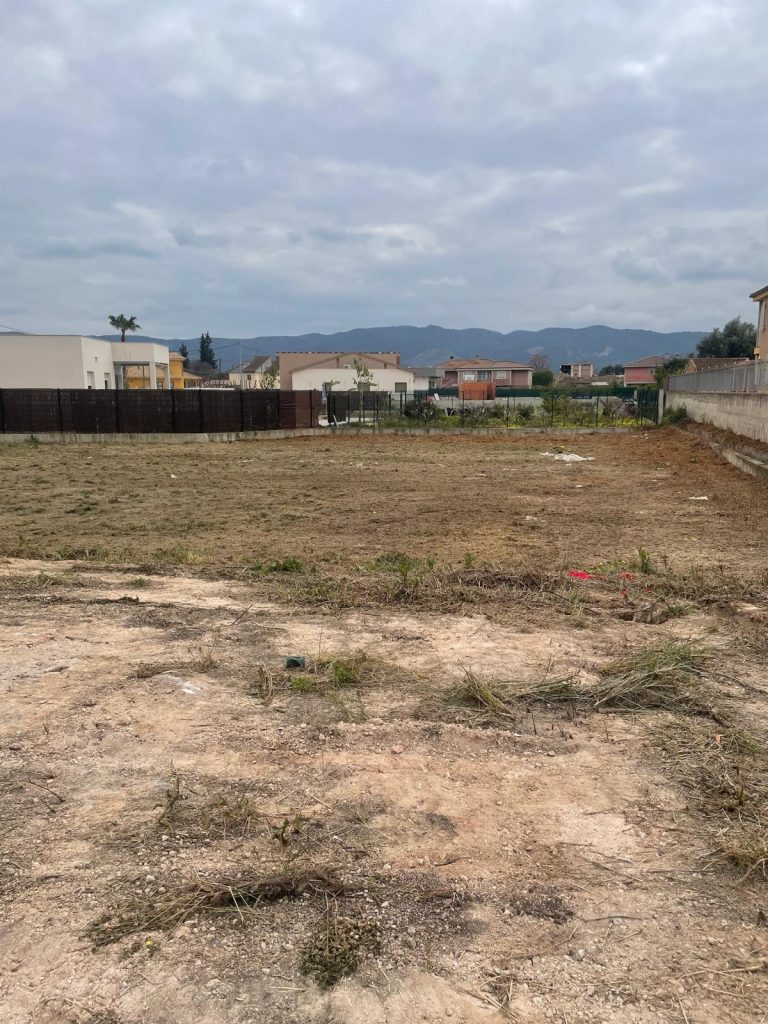 WhatsApp Image 2026 03 02 at 10.06.20 2